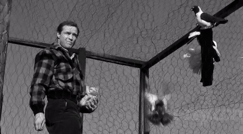 Marlon Brando | "On the Waterfront" (1954)